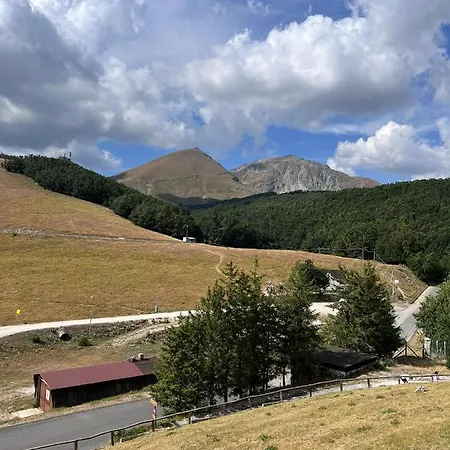 Campo D'altura 5 Confini *